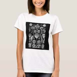 白黒の変形菌 Tシャツ
