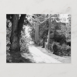 白黒の夢 ポストカード