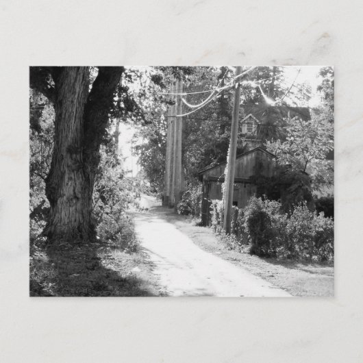 白黒の夢 ポストカード (正面)