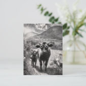 白黒の大きく開いた目の牛 ポストカード (スタンド正面)