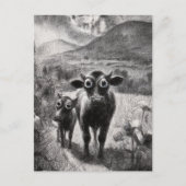 白黒の大きく開いた目の牛 ポストカード (正面)