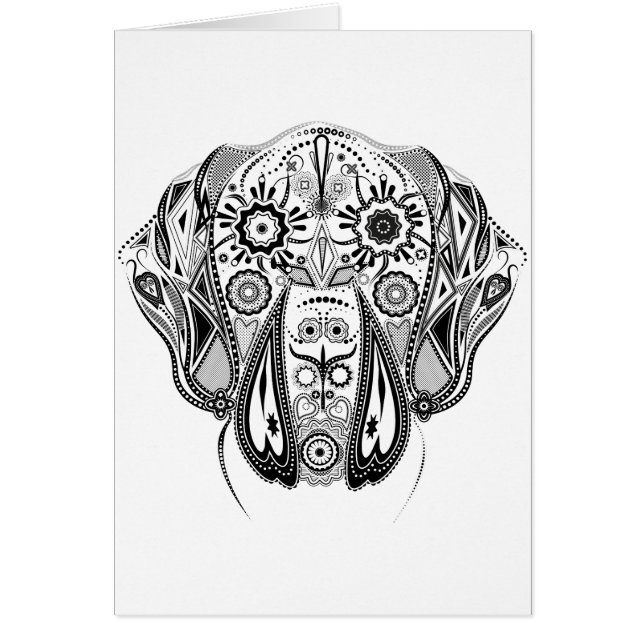 白黒の大きな犬 (正面)