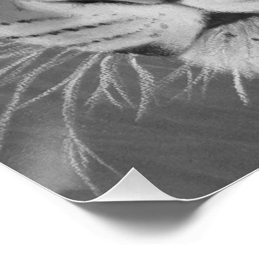 白黒の大きな猫絵画の野生動物 ポスター (コーナー)