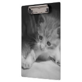 白黒の子天写真 クリップボード (左)