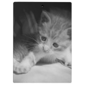 白黒の子天写真 クリップボード (裏面)