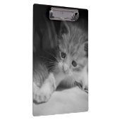 白黒の子天写真 クリップボード (右)