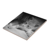 白黒の子天写真 タイル (側面)