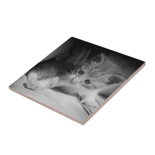 白黒の子天写真 タイル (側面)