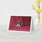 白黒の子猫ダウンソファ カード (黄色い花)