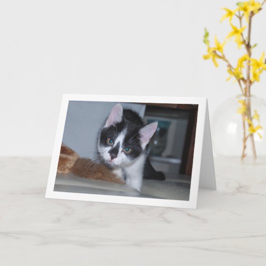 白黒の子猫 カード (黄色い花)