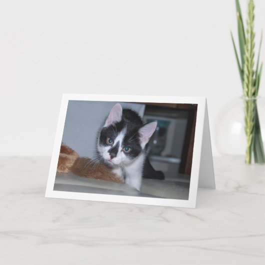 白黒の子猫 カード (正面)