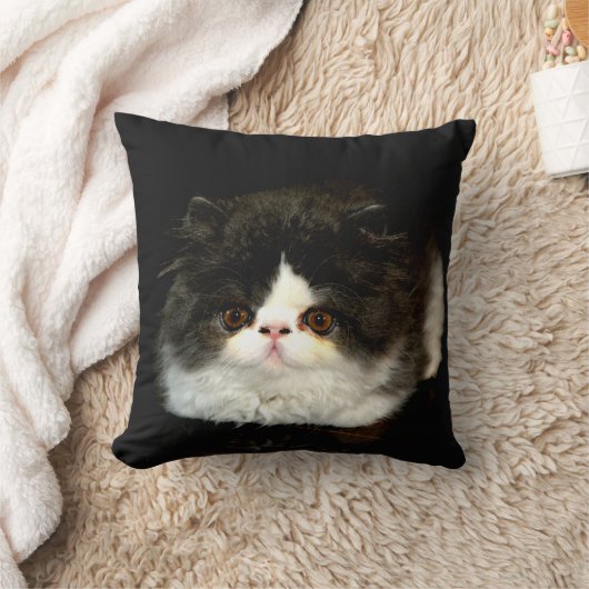 白黒の子猫 クッション (ブランケット)
