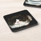 白黒の子猫 コースター (左側)