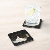 白黒の子猫 コースター (右側)