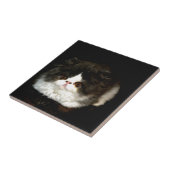 白黒の子猫 タイル (側面)