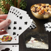 白黒の子猫 トランプ (インサイチュ)