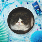 白黒の子猫 ペーパープレート (パーティー)