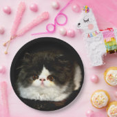 白黒の子猫 ペーパープレート (パーティー)