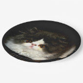 白黒の子猫 ペーパープレート (アングル)