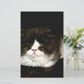 白黒の子猫 便箋 (スタンド正面)