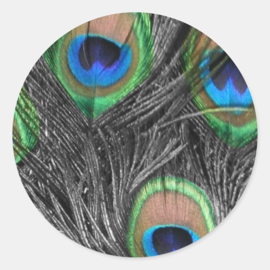 白黒の孔雀の羽 ラウンドシール (正面)
