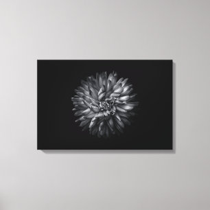 白黒の庭の花 20 キャンバスプリント