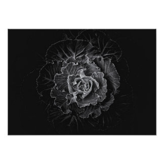 白黒の庭の花 No 100 フォトプリント