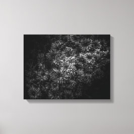 白黒の庭の花 No 29 キャンバスプリント