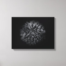 白黒の庭の花 No 68