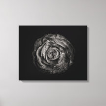 白黒の庭の花 No 72