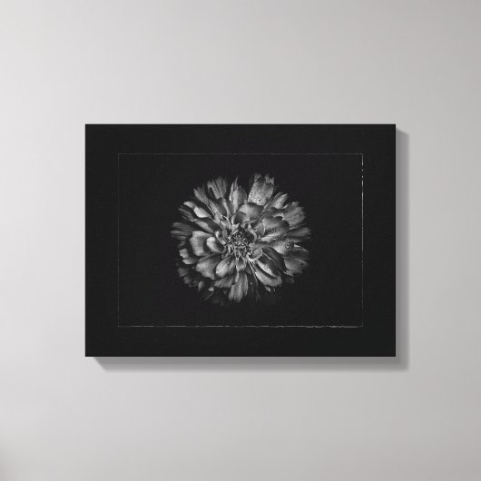 白黒の庭の花 No 79 ボーダー キャンバスプリント (正面)