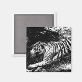 白黒の攻撃タイガー マグネット (正面/裏面)