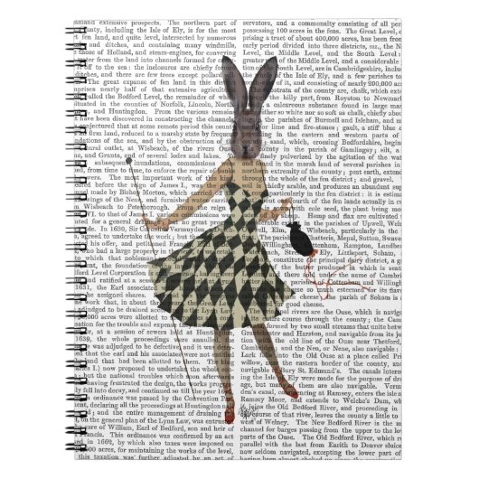 白黒の服のウサギ ノートブック (正面)