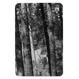 白黒の木々のまわりに全て マグネット