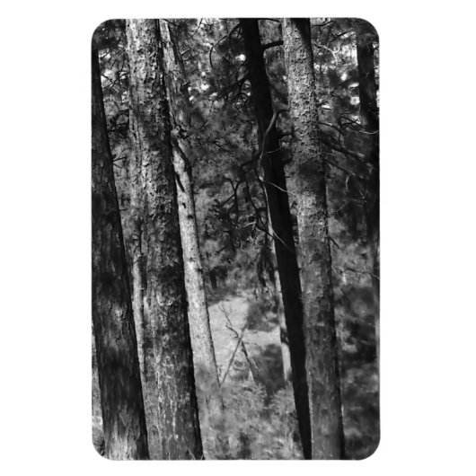 白黒の木々のまわりに全て マグネット (縦)