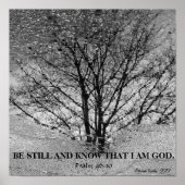 白黒の木の反射 ポスター (正面)