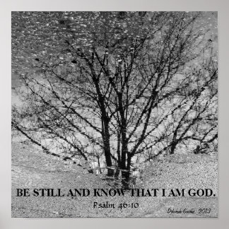 白黒の木の反射 ポスター