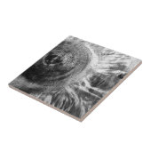 白黒の木目のテクスチャ タイル (側面)