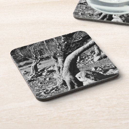 白黒の木 コースター (左側)