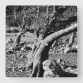 白黒の木 スクエア壁時計 (正面)