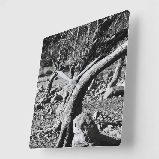 白黒の木 スクエア壁時計 (傾斜)