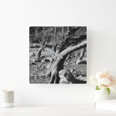 白黒の木 スクエア壁時計 (ホーム)