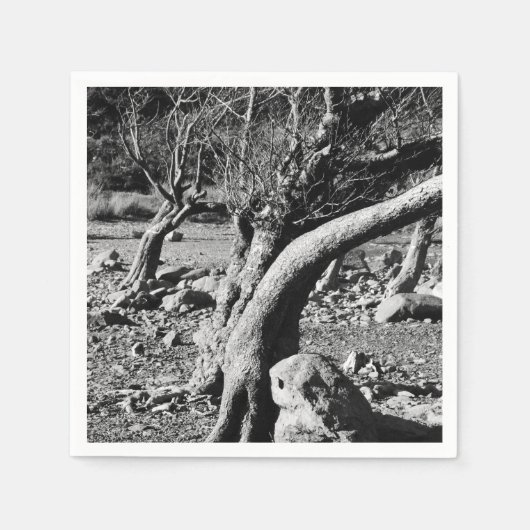 白黒の木 スタンダードカクテルナプキン (正面)