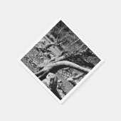 白黒の木 スタンダードカクテルナプキン (角)