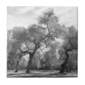 白黒の木 タイル (正面)