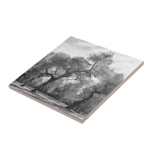 白黒の木 タイル (側面)