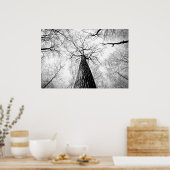 白黒の木 ポスター (キッチン)