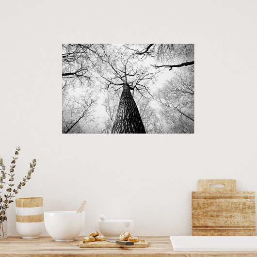 白黒の木 ポスター (キッチン)