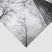 白黒の木 薄葉紙 (詳細)