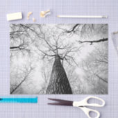 白黒の木 薄葉紙 (クラフト)